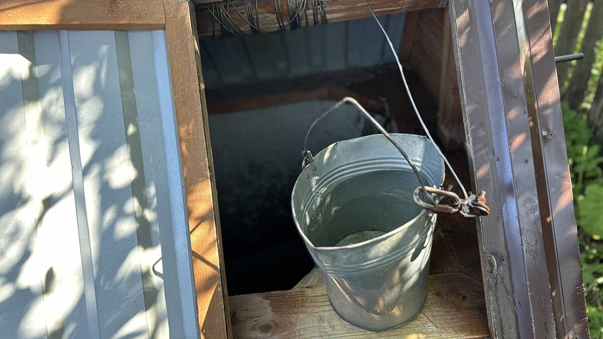    Фото: Вечерняя Москва