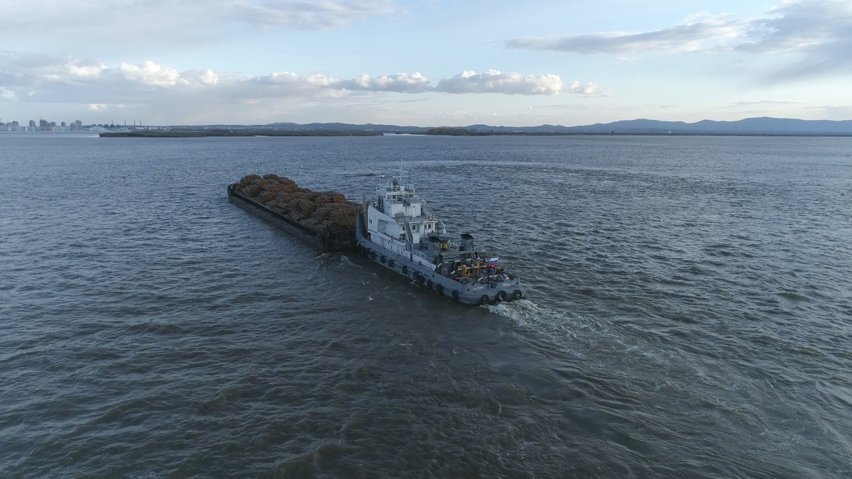 Буксир "Капитан Бреус" с баржей/ Фото: АО "Амурское пароходство"  📷
