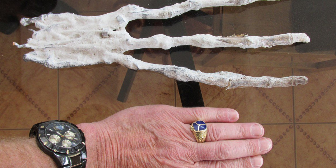 Трёхпалая кисть с металлической пластиной: необычная находка археологов в Перу