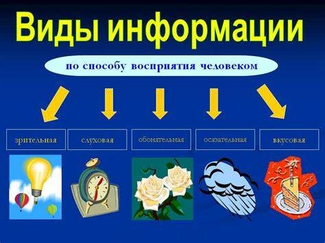 Из открытых источников информации. 