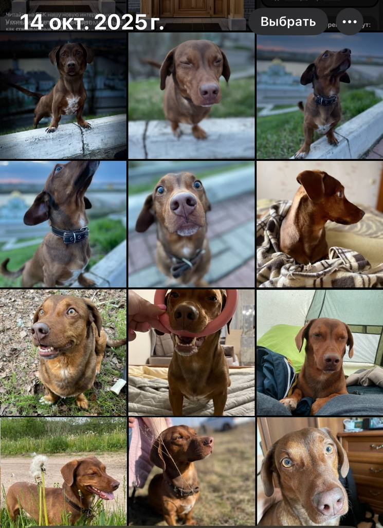 Айфон у мужа подкидывает классные подборки фото...