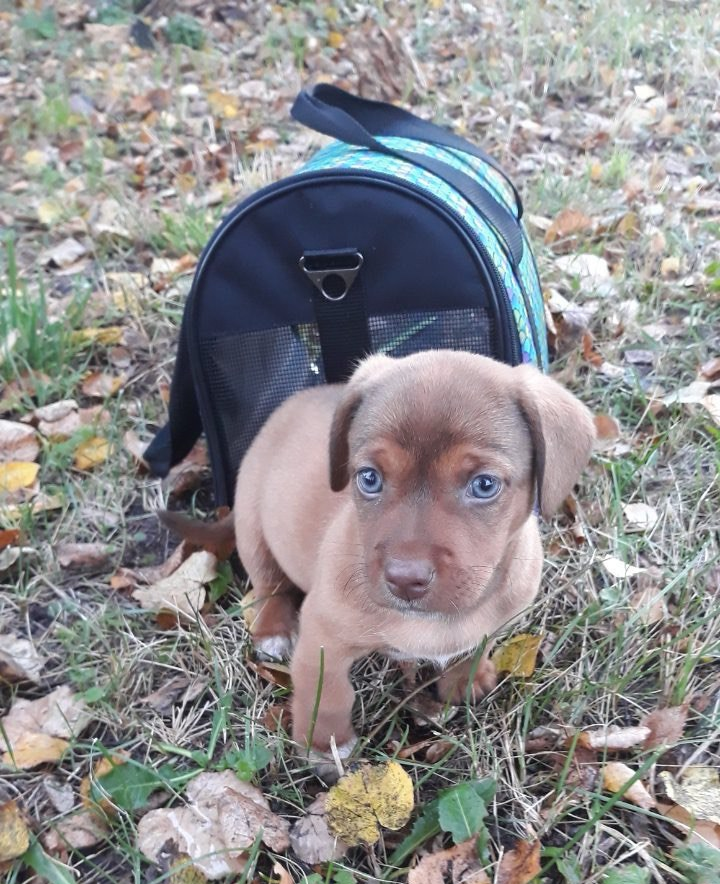 Чарли в детстве. 