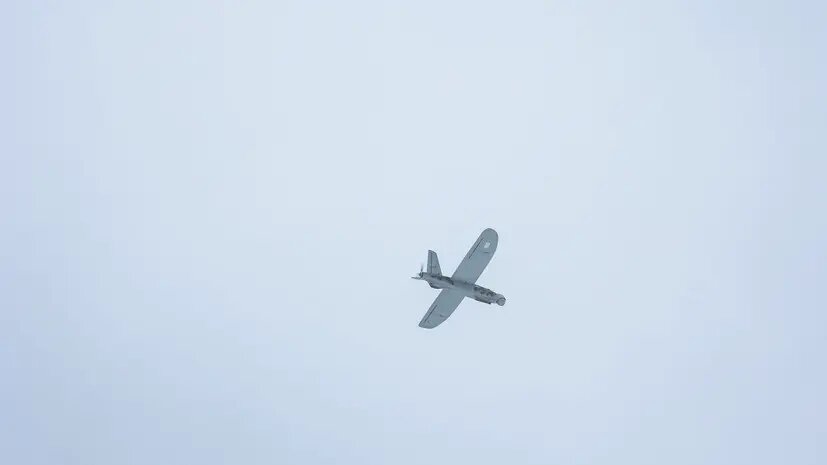    Источник: russian.rt.com Федор Никулина