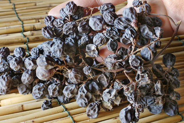 Процесс аппассименто - раскладывают виноград на бамбуковые циновки для проветривания и оставляют заизюмливаться 