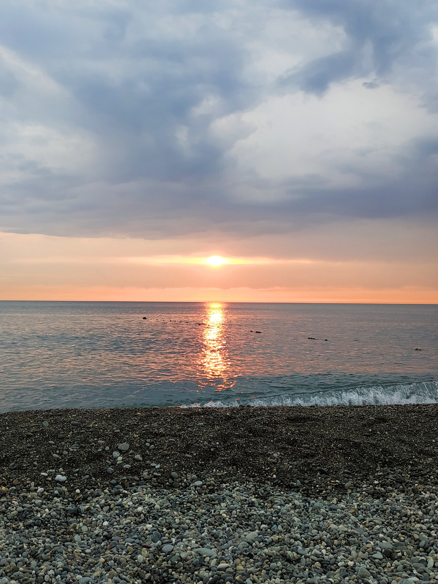 Адлер, 2019, фото автора. 