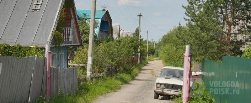 Дачникам на заметку: выращивание шалфея грозит серьёзными последствиями