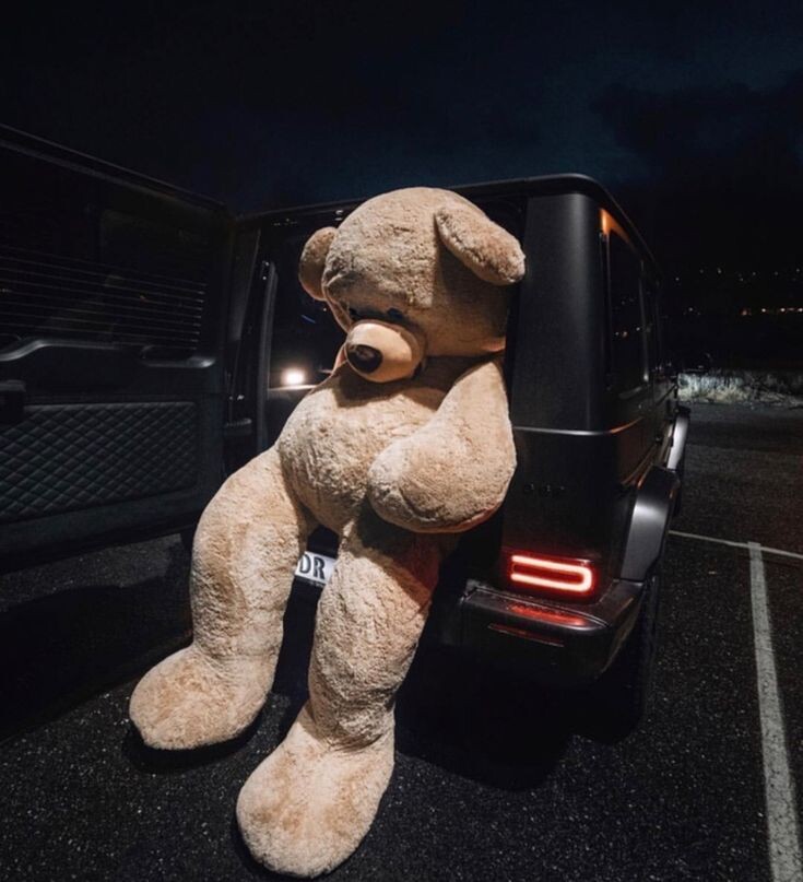 Фото из свободных источников.