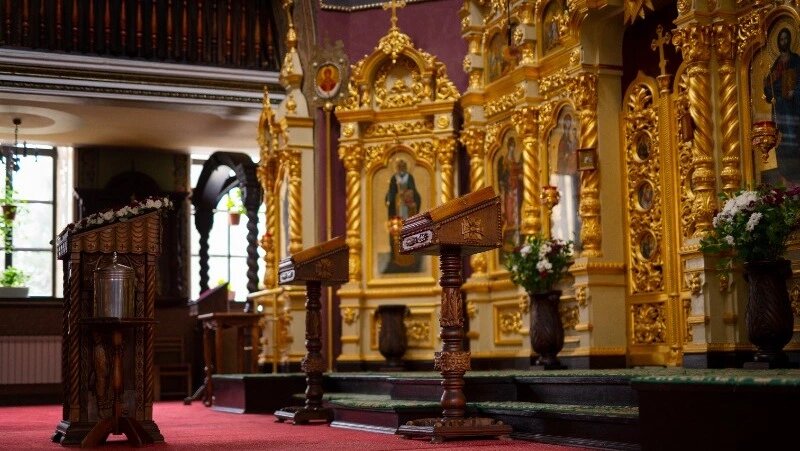      Фото: @freepik / ru.freepik.com