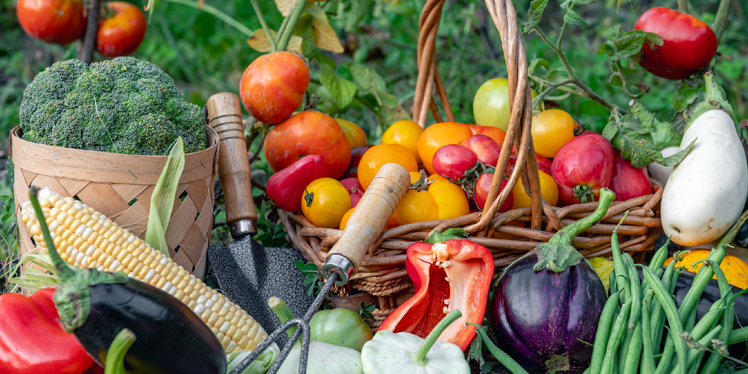 Лунный календарь на апрель 2026: что посадить и какие работы провести