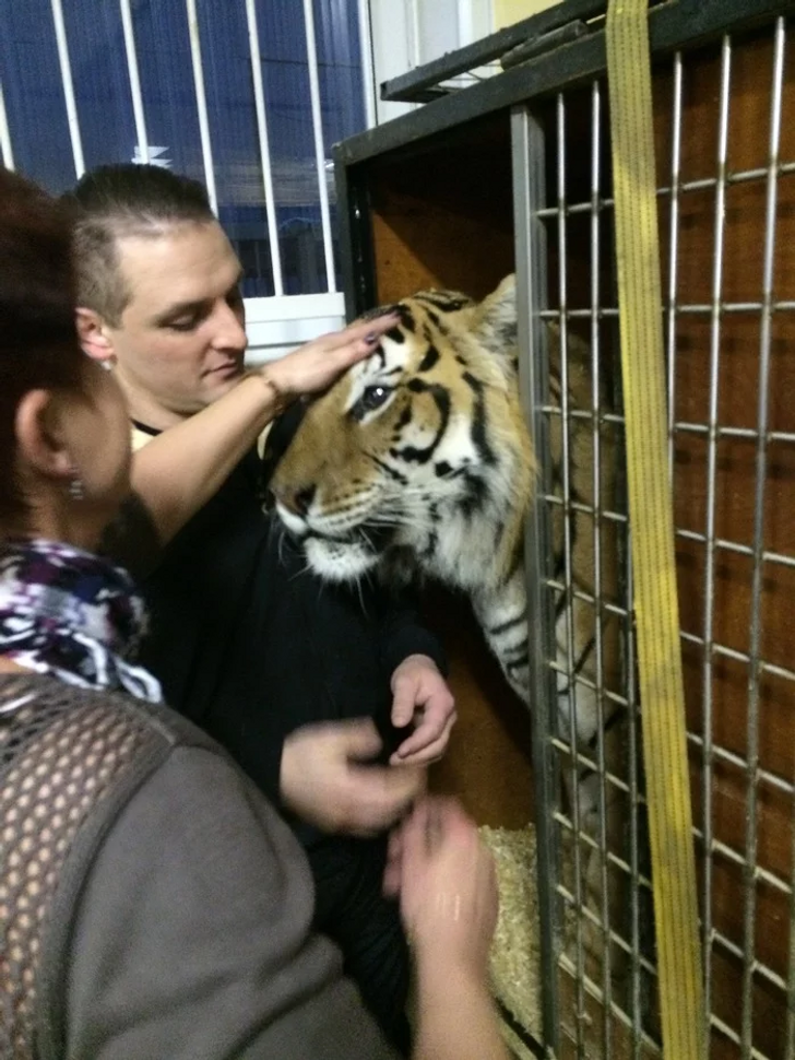 © ortustella / Pikabu