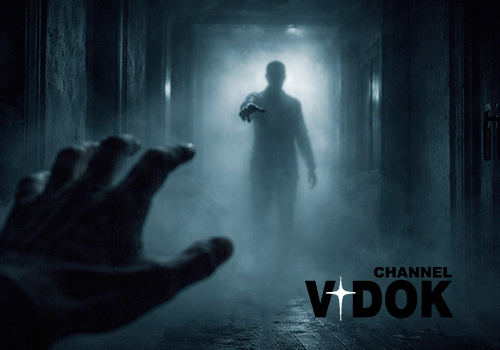 КАНАЛ: "VIDOK" YOUTUBE/RUTUBE