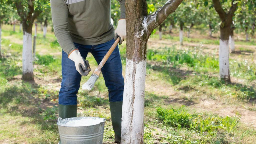    Сгенерировано в нейросети