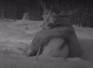 скриншот с видео