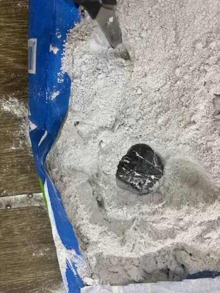    Источник фото: пресс-служба УМВД России по Приморскому краю