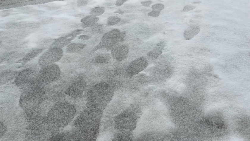    Фото из архива редакции