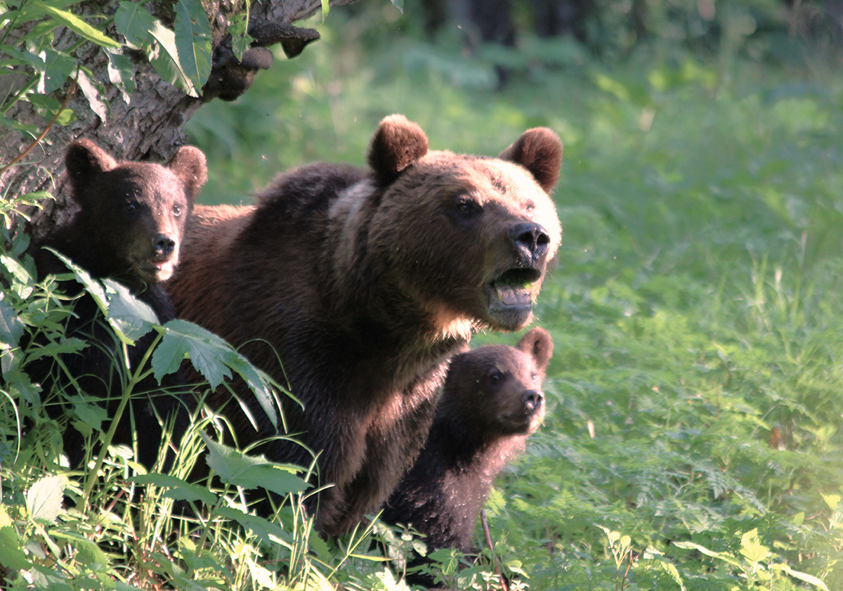 Фото из архива Евгения Карпова