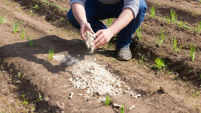   Создано нейросетями