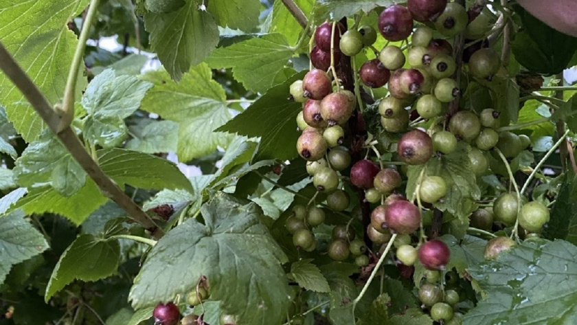    Фото Анастасии Дмитриевой