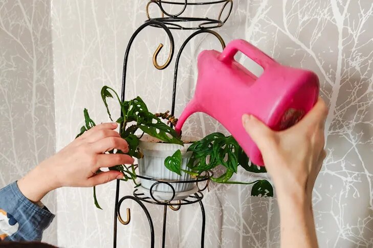    Фото Андрея Заржецкого