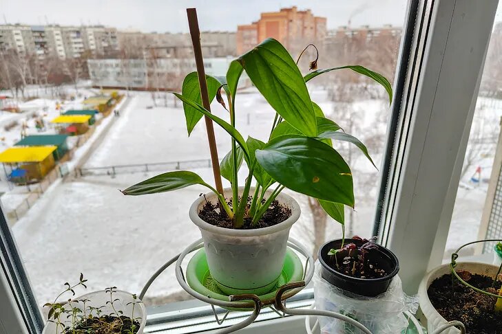 © Фото VN.ru.📷
