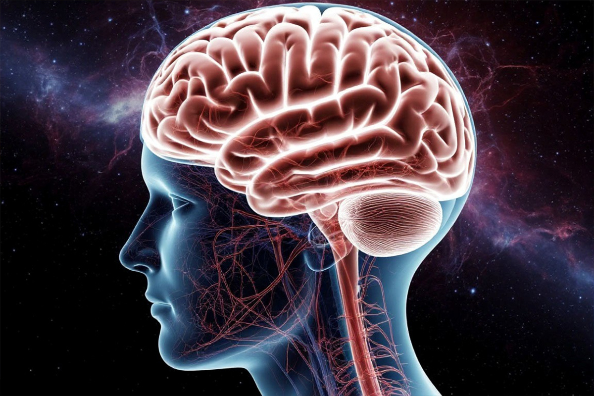    Фото: коллаж RuNews24.ru