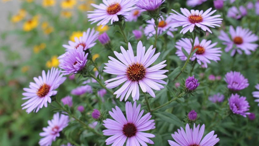    фото создано нейросетью Алиса