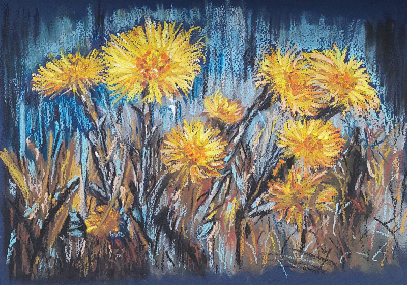 Мать-и-мачеха. Мария Олеговна Иванова
 • Графика, 29.7×21 см