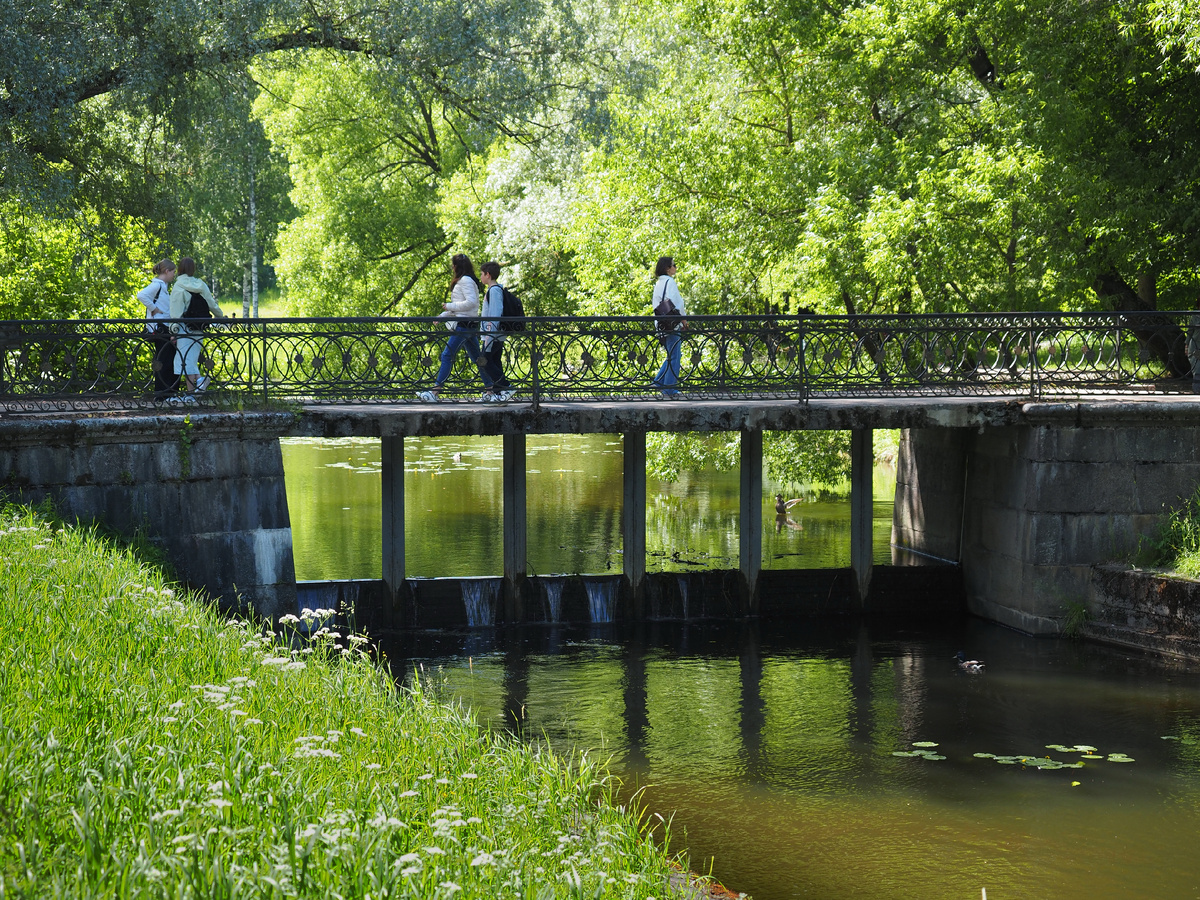 Черный мост, Павловский парк