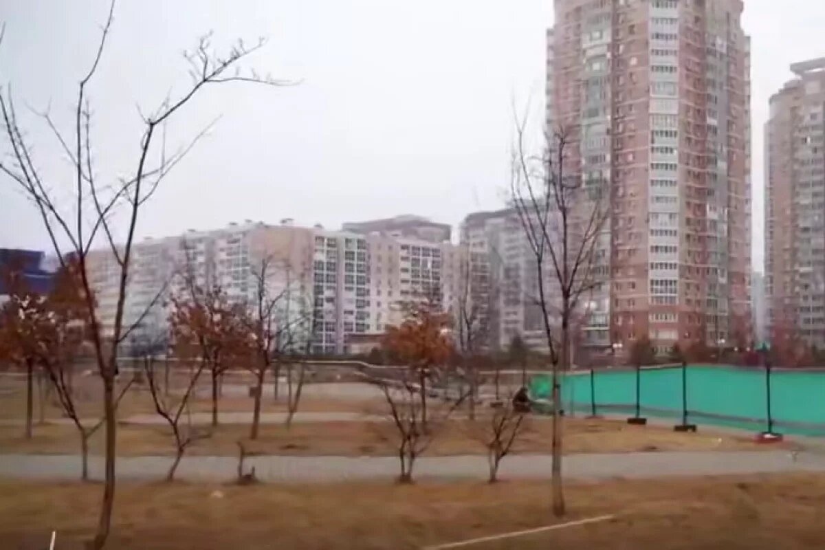    Здесь высадят даурскую лиственницу, красный дуб, сакуру и дальневосточный миндаль.