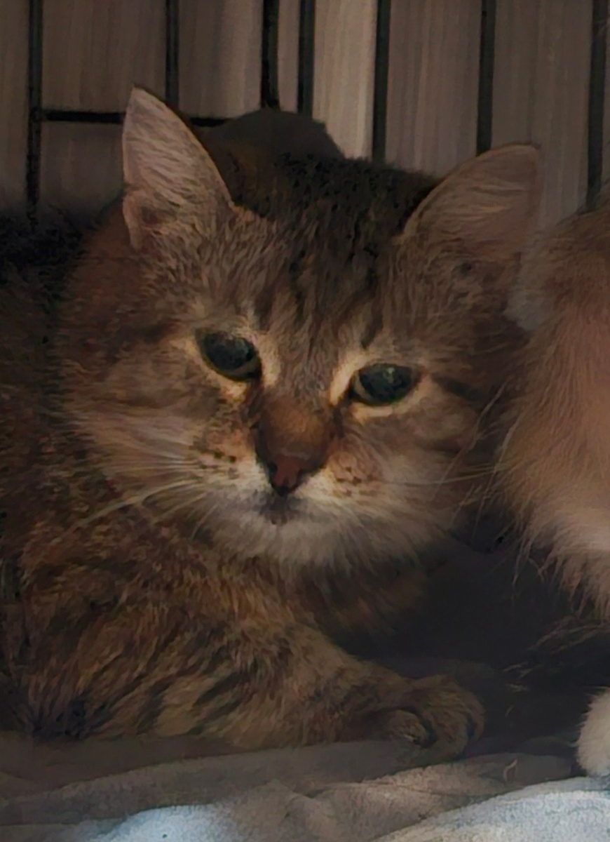 Фото автора. Верочка оооооочень хочет жить.