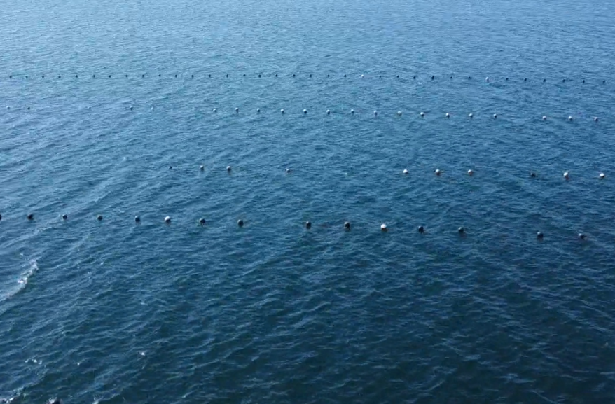    Источник фото: