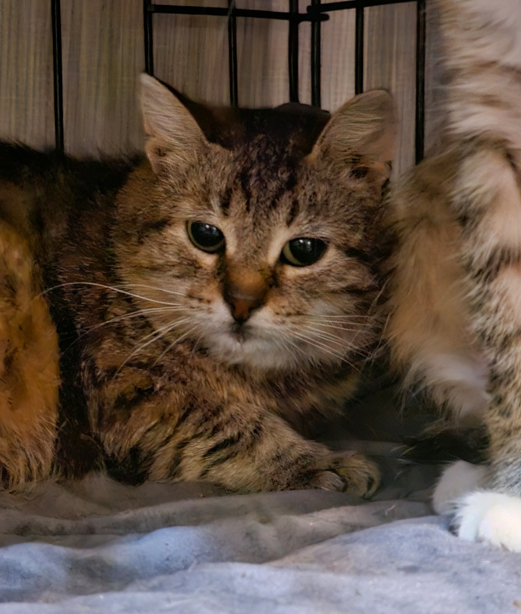 Фото автора. Верочка оооооочень хочет жить.