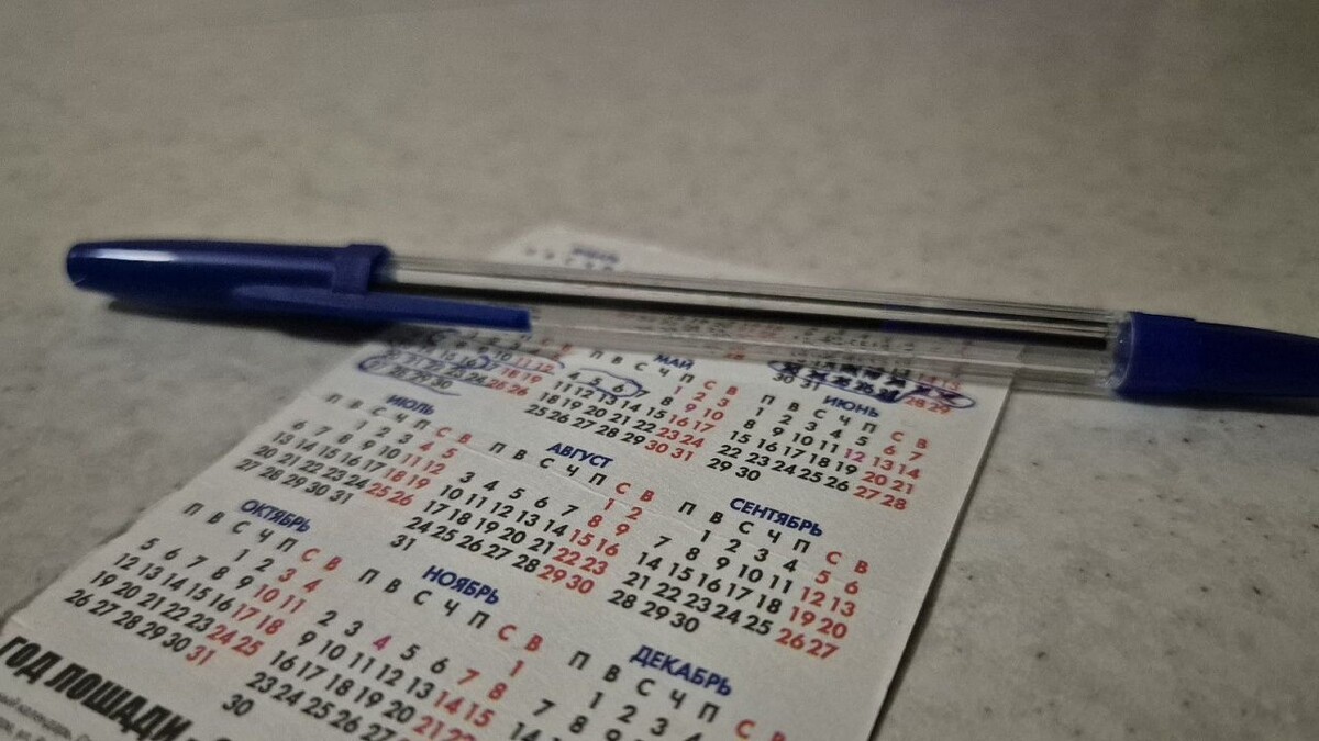    Фото: телеканал «Краснодар»