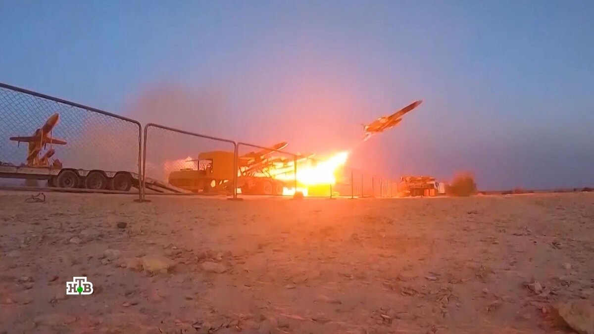    «Как мишени в тире»: почему наземное вторжение США в Иран закончится катастрофой