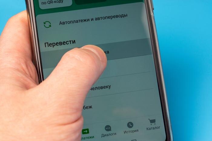 Обложка © Shutterstock / FOTODOM / Sergei Gorin