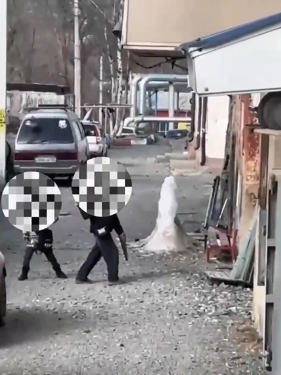    Источник фото: Скрин видео