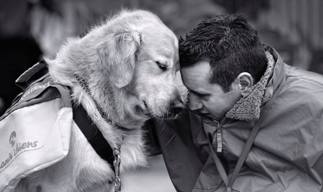 Почему смерть собаки иногда больнее, чем смерть родного человека?