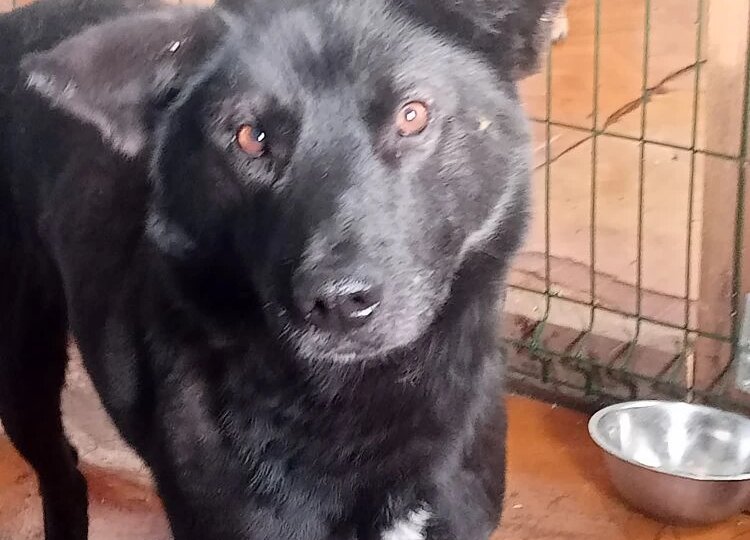 🔊🔊🔊 Продолжаем взывать о помощи 🔊🔊🔊