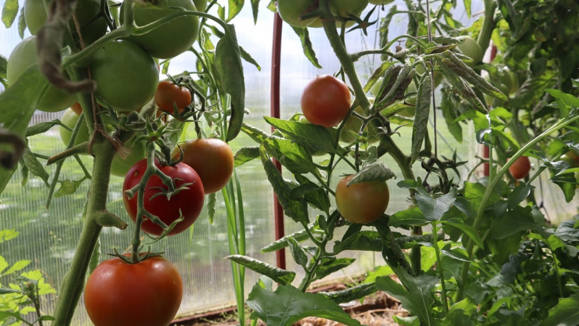    фото из архива редакции