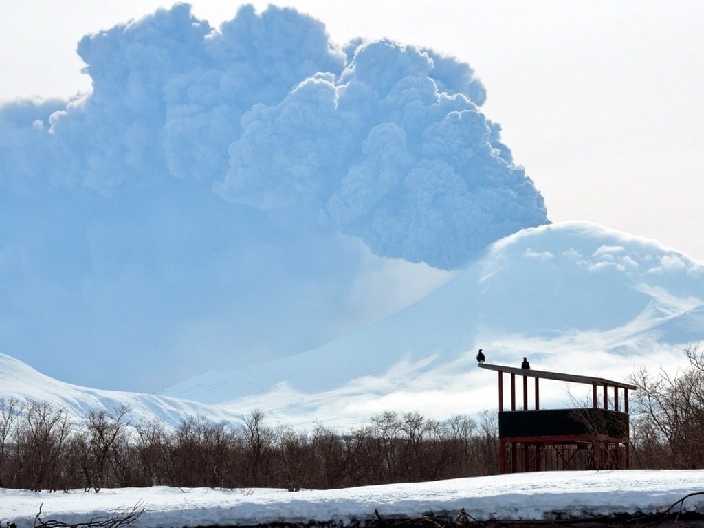 Фото Владимира Власенко / Кроноцкий заповедник