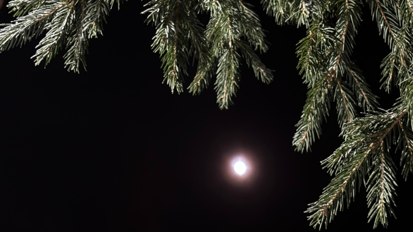    Фото "Про Город"