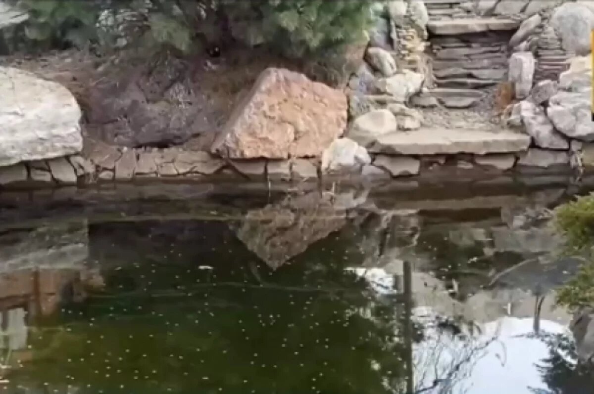    Арендатор пруда в Волгоградской области ограничил доступ жителей к воде