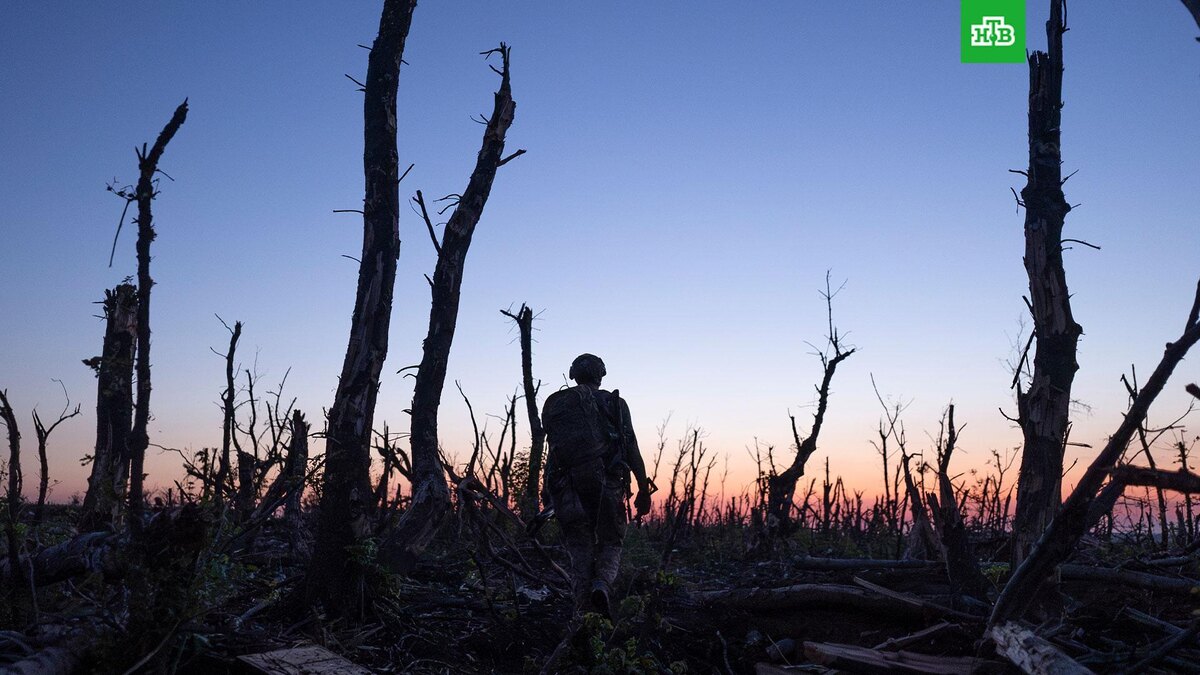    Фото: Associated Press © 2026, Mstyslav Chernov
