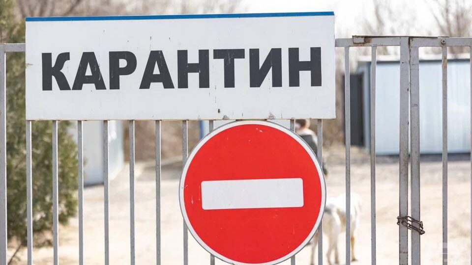 Карантин в двух селах ввели в Волгоградской области