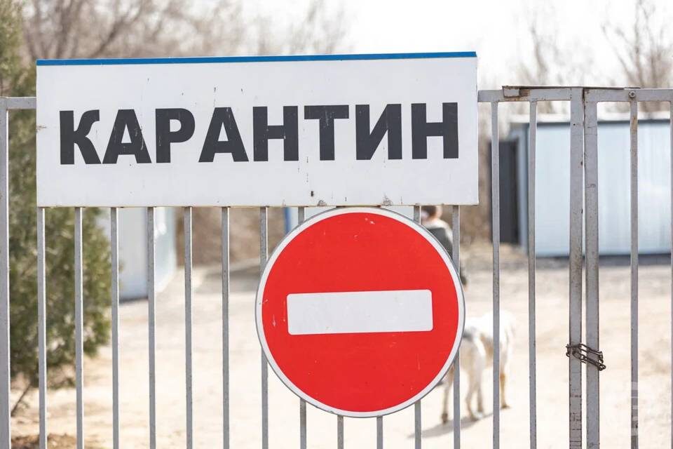    Фото: Дмитрий Рогулин/"Городские вести"