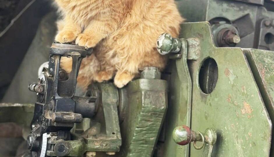 Доброе утро понедельника