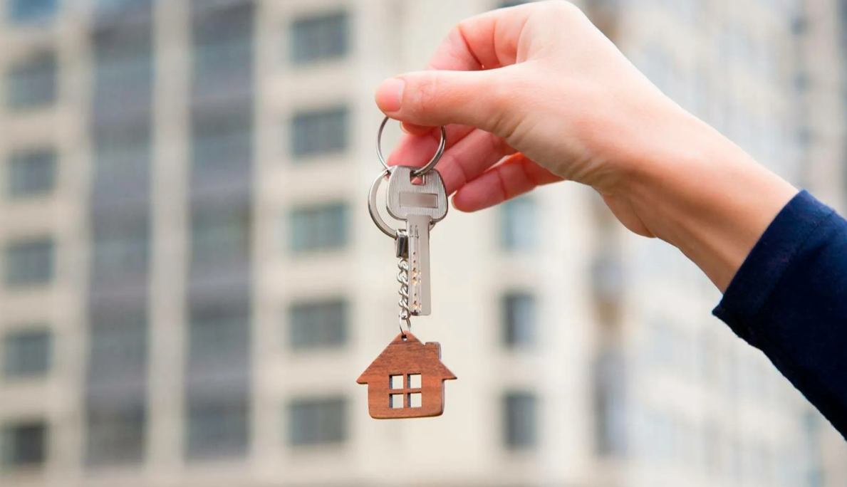 Яндекс картинки