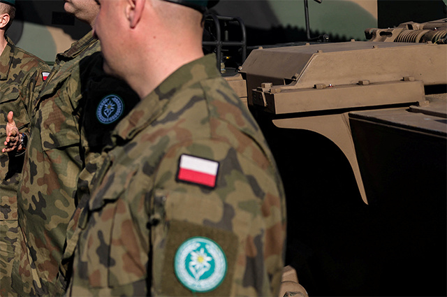    Польские наемники Фото: Reuters