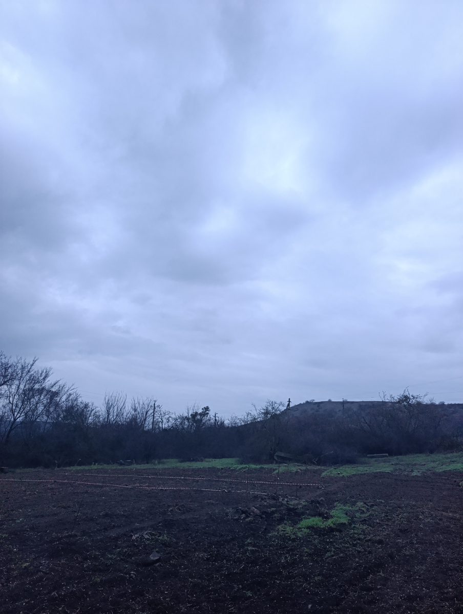 Дождик мелкий, как некоторые говорят, чабанский. Такой дождь гораздо лучше, он пропитывает землю влагой.