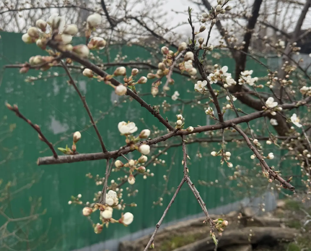    Фото редакции "СВ" Марина Ецкова